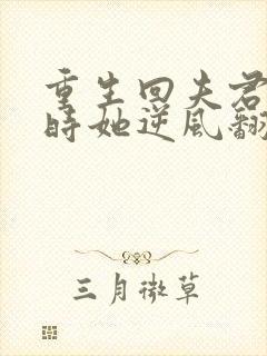 重生回夫君大婚时她逆风翻盘短剧完结