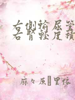 右侧输尿管结石右肾轻度积水