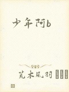 少年阿b