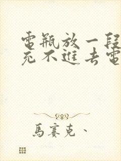 电瓶放一段时间充不进去电怎么办