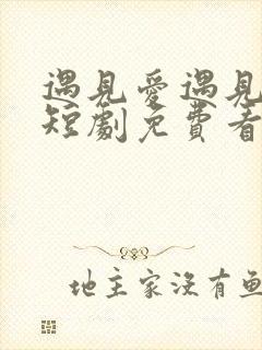 遇见爱遇见幸福短剧免费看