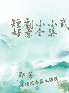 短剧小小武神不好惹全集