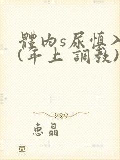 体内s尿慎入h(年上 调教)