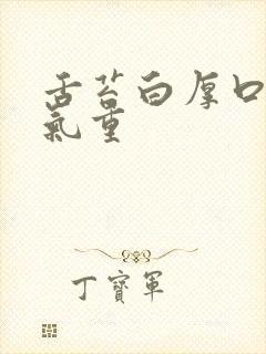 舌苔白厚口苦湿气重