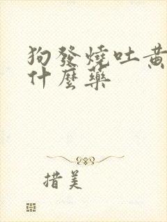 狗发烧吐黄水吃什么药