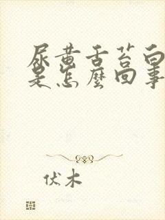 尿黄舌苔白口苦是怎么回事