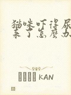 猫咪吓得尿都出来了怎么办