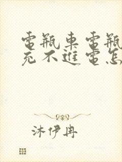 电瓶车电瓶亏电充不进电怎么修复