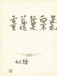 舌苔发白是湿气重还是寒气重