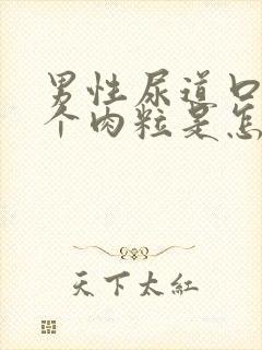 男性尿道口长了个肉粒是怎么回事