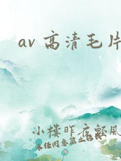 av 高清毛片