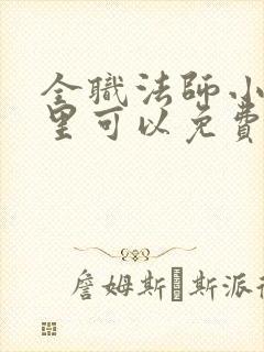 全职法师小说哪里可以免费看