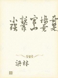 小说官场奇才最强靠山竟是我自己李澜在线