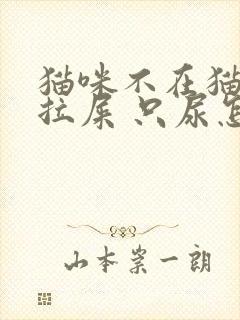 猫咪不在猫砂盆拉屎 只尿怎么办