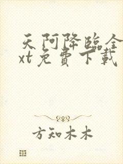 天阿降临全文txt免费下载