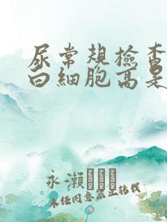 尿常规检查结果白细胞高是什么原因