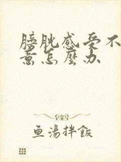 膀胱感受不到尿意怎么办