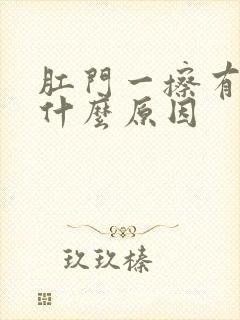 肛门一擦有血是什么原因