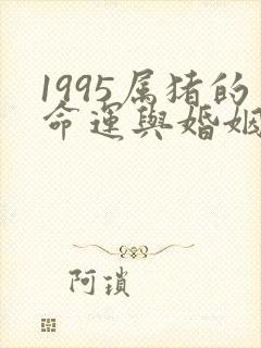1995属猪的命运与婚姻女