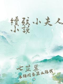 续弦小夫人全文小说