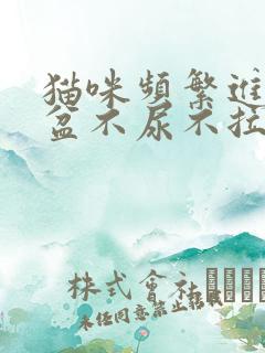 猫咪频繁进猫砂盆不尿不拉