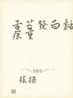 舌苔发白黏腻齿痕重