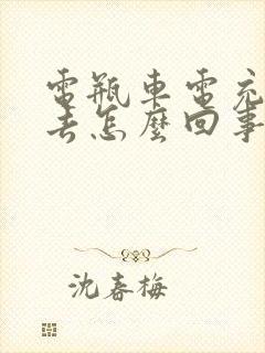 电瓶车电充不进去怎么回事