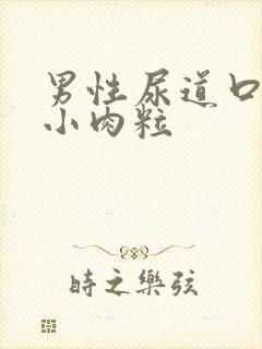 男性尿道口长有小肉粒