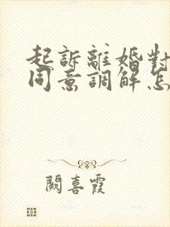 起诉离婚对方不同意调解怎么办