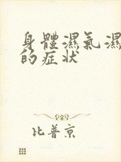 身体湿气湿热重的症状