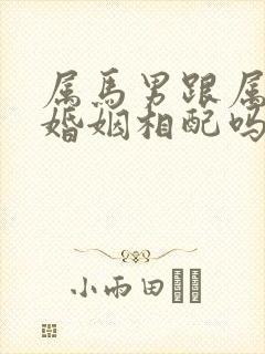 属马男跟属龙女婚姻相配吗