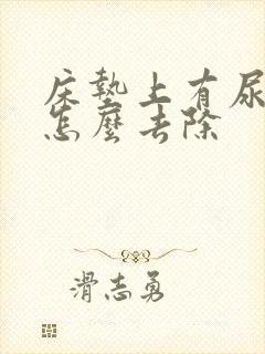 床垫上有尿骚味怎么去除