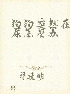 狗狗突然在家乱尿怎么办