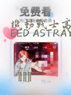 机动战士高达SEED ASTRAY R