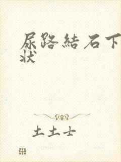 尿路结石下段症状