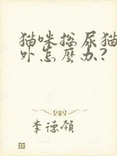 猫咪总尿猫砂盆外怎么办?