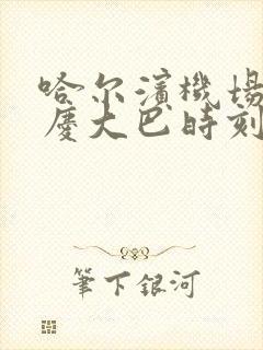 哈尔滨机场至大庆大巴时刻表