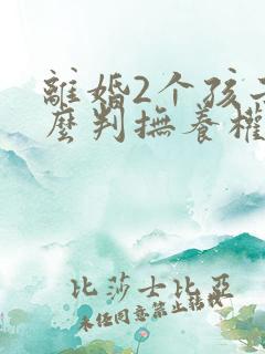 离婚2个孩子怎么判抚养权