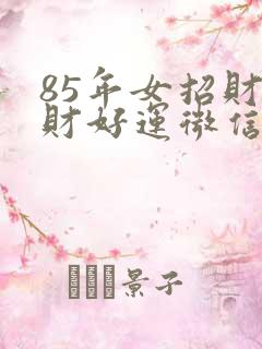 85年女招财旺财好运微信名字