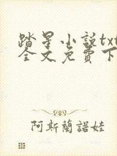 踏星小说txt全文免费下载