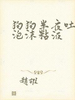 狗狗半夜吐白色泡沫粘液