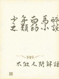 少年白马醉春风之类的小说