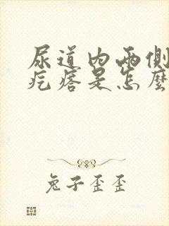 尿道内两侧有小疙瘩是怎么回事