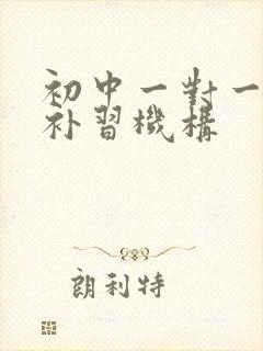 初中一对一数学补习机构