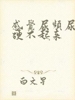 感觉尿频尿不尽硬不起来