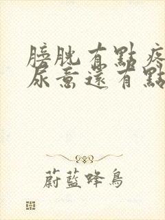 膀胱有点疼老有尿意还有点尿血