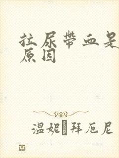 拉尿带血是什么原因