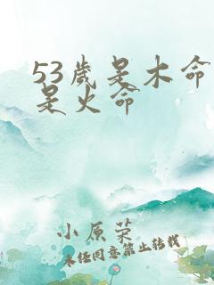 53岁是木命还是火命