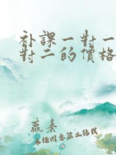 补课一对一和一对二的价格