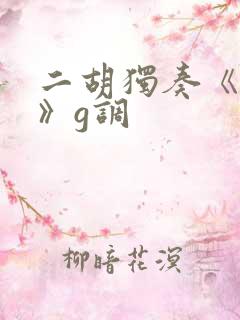 二胡独奏《画你》g调